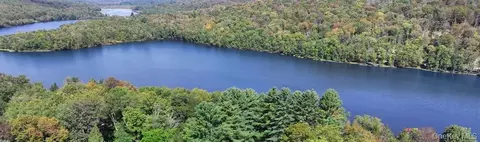 371 Kelly Bridge Rd #373, Swan Lake, NY 12783