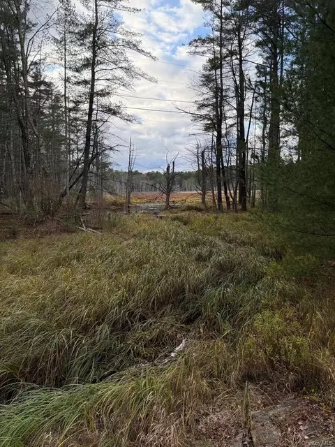 0 Puckyhuddle Rd, Bethel, NY 12720