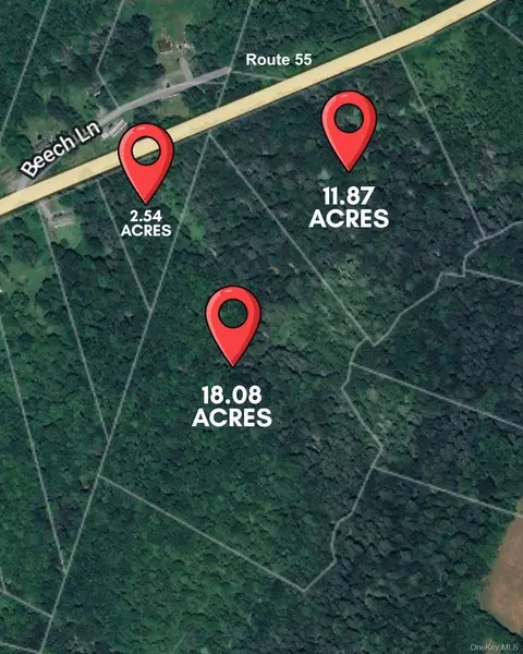 3 Lots Neversink Rd, Fallsburg, NY 12754