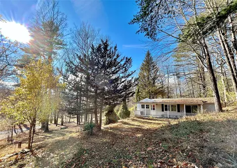 335 Tempaloni Rd, Mamakating, NY 12483