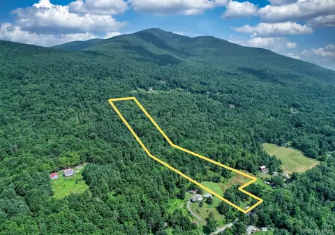 252 Upper Samsonville Rd, Olive, NY 12461