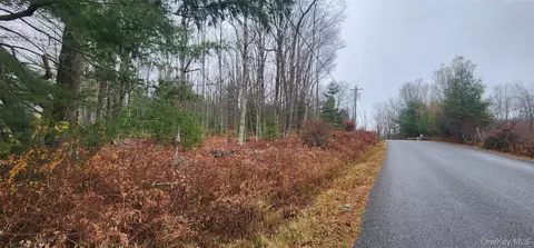 Thompson Road, Thompson, NY 12784