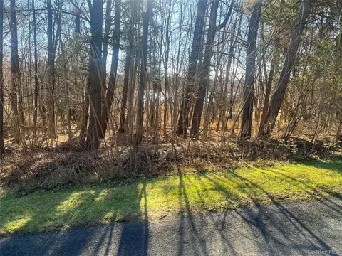 12 Pioneert, Copake, NY 12516