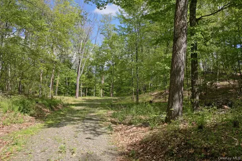 Electronics Road, Clinton, NY 12514 photo 6