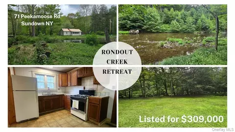 71 Peekamoose Rd, Denning, NY 12740