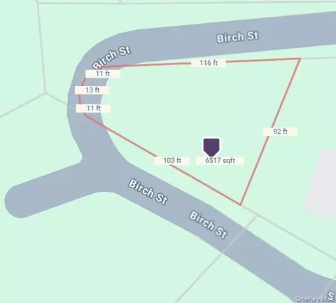 Birch Street, Crawford, NY 12721