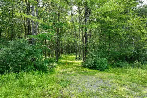 lot69 Cushetunk Dr, Cochecton, NY 12726