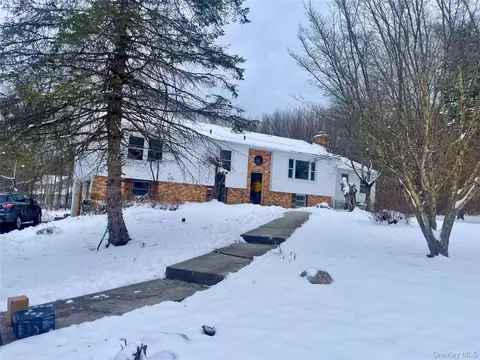 17 Dunthorne Dr, Crawford, NY 12721