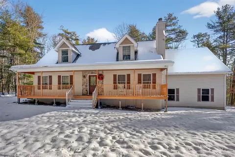 131 Ozeriany Rd, Lumberland, NY 12719