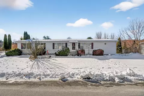 14 Palm Dr, Mamakating, NY 12721