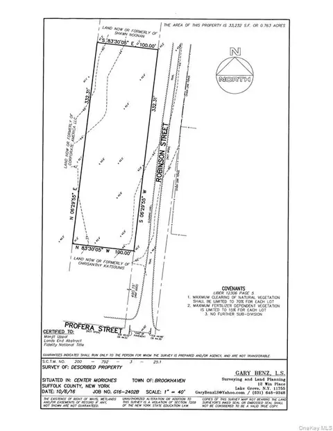 lot1 Robinson St, Brookhaven, NY 11934