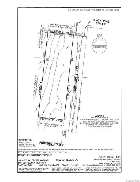 lot2 Robinson St, Brookhaven, NY 11934