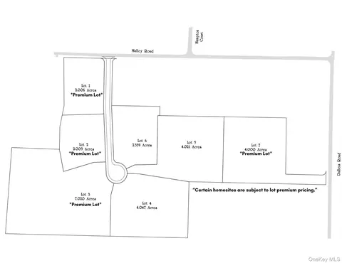 View/Area - 43 Malloy Rd, Shawangunk, NY 12589 photo 1 of 1