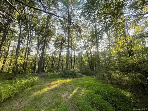 Loch Ada Road, Lumberland, NY 12737
