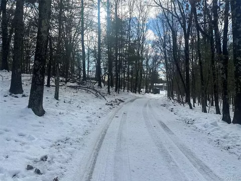 Cedar Drive, Gallatin, NY 12523
