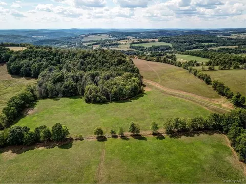 Bauernfeind Road, Delaware, NY 12723
