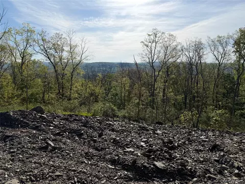 Rocky Top Way, Stanford, NY 12514
