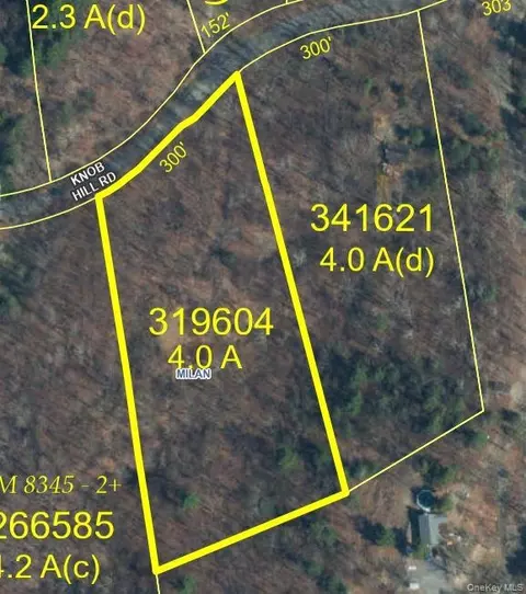 Knob Hill Rd Knob Hill Road, Milan, NY 12581