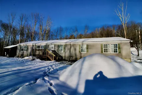 76 Parks Rd, Livingston Manor, NY 12758