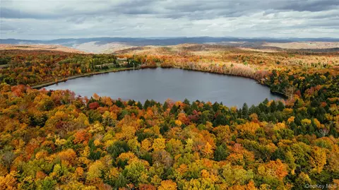 lot9 Wood Lake Trl, Fremont, NY 12736