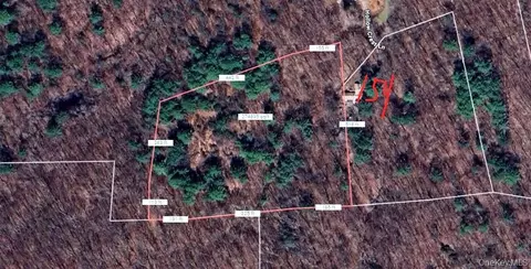 lot748535 Hollow Crest Ln, Washington, NY 12545