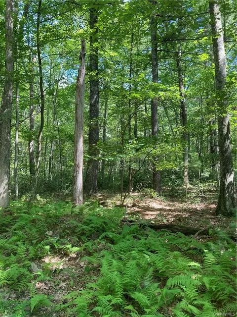 Allen Road, Mamakating, NY 12790
