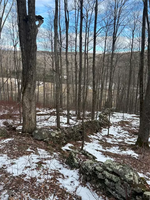 58 County Hwy 36 Kelly Corners-denver-vega Rd, Middletown, NY 12445