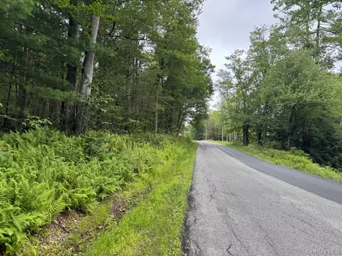 00 Starlight Rd, Thompson, NY 12701