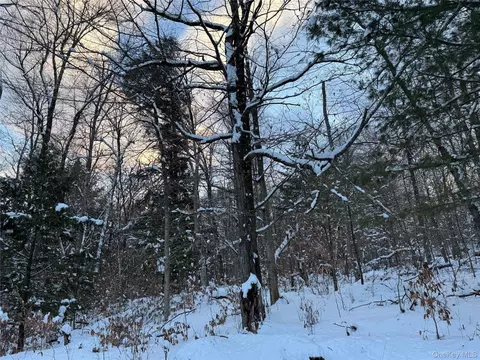 00 Starlight Rd, Thompson, NY 12701