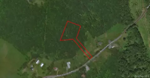 lot1 Back Shandelee Rd, Rockland, NY 12758