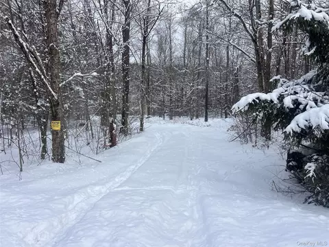 Methol Road, Hancock, NY 13783