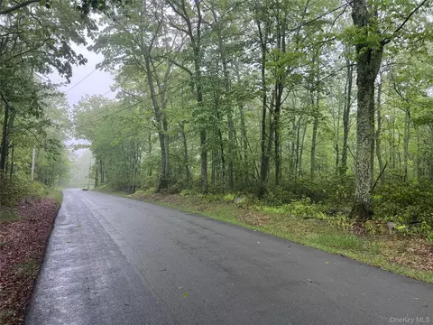 Budd Road, Mamakating, NY 12790