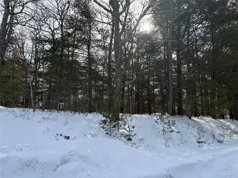 lot1 Willow Ln, Lumberland, NY 12737