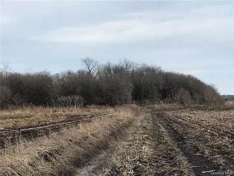 46 Jessup Switch Rd, Goshen, NY 10924
