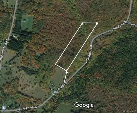 Lily Pond Road, Neversink, NY 12768