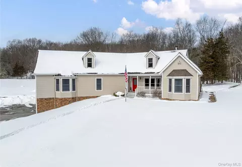 35 Appaloosa Ln, Washington, NY 12545