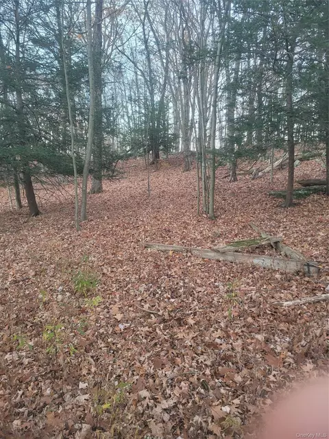 35 Shenandoah Ct, Carmel, NY 10512