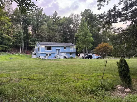 20 Patrick Dr, Mamakating, NY 12721