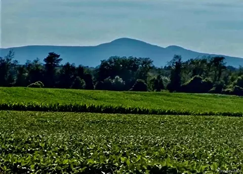 Orchard, Livingston, NY 12541