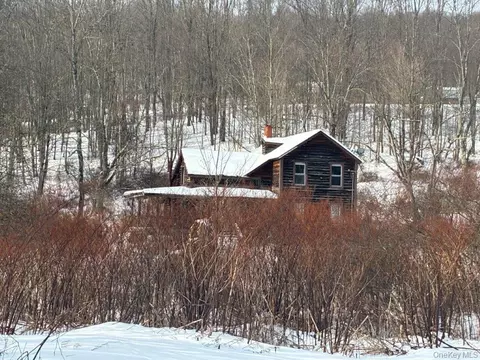 921 Milton Smith Rd, Long Eddy, NY 12760