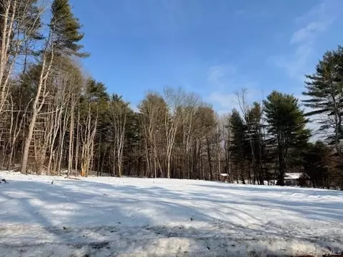 lot48 3 482 High Rd, Lumberland, NY 12737