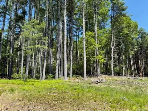 lot48 3 482 High Rd, Lumberland, NY 12737