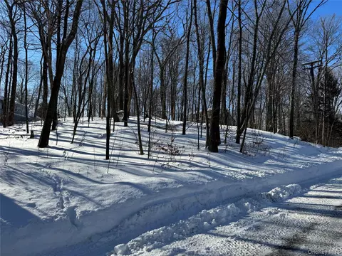 Lakeview Drive, Dover, NY 12564 photo 4