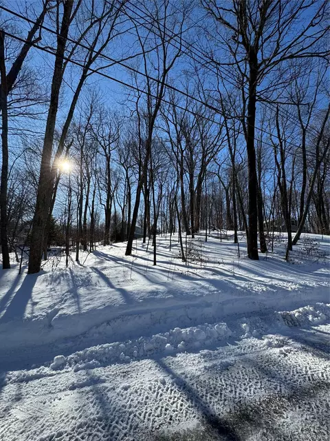 Lakeview Drive, Dover, NY 12564 photo 6