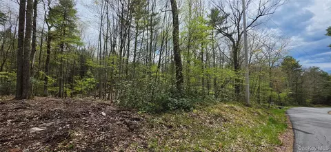 lot82 Perry Pond Rd, Tusten, NY 12764