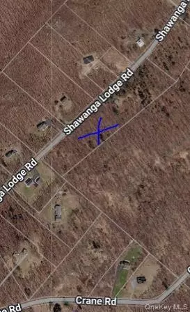 237 Shawanga Lodge Rd, Mamakating, NY 12721