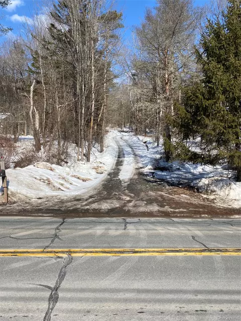 1432 Old Route 17, Rockland, NY 12776
