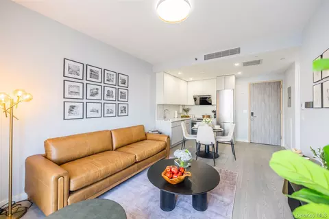 Living - 134-11 Franklin Ave #8D, Flushing, NY 11355 photo 4 of 6