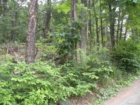 Frenchs Hill Rd, New Lebanon, NY 12125