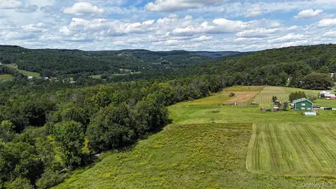 Hubert Road, Callicoon, NY 12748 photo 20